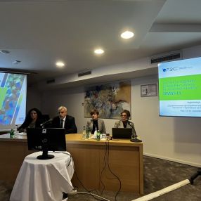 From Available to Necessary Indicators for Efficient Planning and Decision Making on Local Level